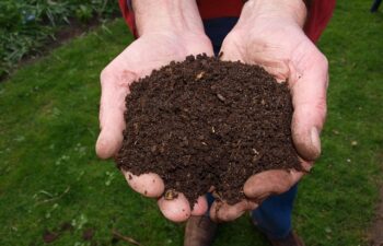 Come Fare il Compost in Casa: Guida Completa al Compostaggio Domestico