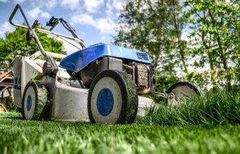 Giardinaggio Urbano: La Guida Completa per Trasformare i Tuoi Spazi Cittadini