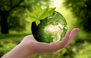 Sostenibilità Quotidiana: 10 Consigli Pratici per un Impatto Positivo