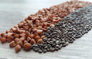 Alimenti ricchi di proteine vegetali: la guida completa