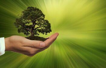 Sostenibilità Quotidiana: 6 Idee Pratiche per uno Stile di Vita Eco-Friendly