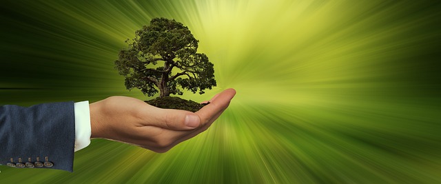 Sostenibilità Quotidiana: 6 Idee Pratiche per uno Stile di Vita Eco-Friendly Sostenibilità Quotidiana: 6 Idee Pratiche per uno Stile di Vita Eco-Friendly