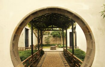 Idee creative per giardini verticali: Guida completa per trasformare i tuoi spazi