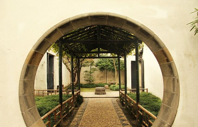 Idee creative per giardini verticali: Guida completa per trasformare i tuoi spazi
