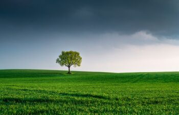 Consigli efficaci per ridurre l’impatto ambientale: guida completa
