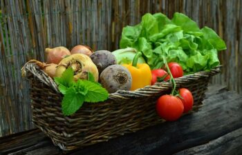 Ricette Vegetariane Facili: 15 Idee Veloci e Gustose per Tutti i Giorni
