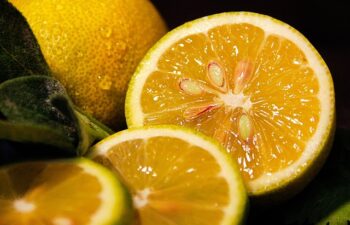 Benefici di Bere Acqua e Limone al Mattino: Guida Completa e Scientifica